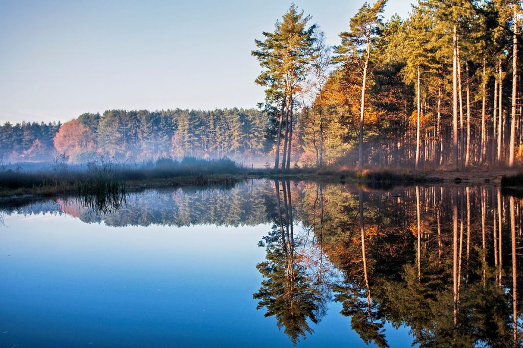Natuurgebied De Merode